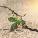 8~8 – Una forma de «romperlo todo»