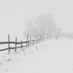 black wooden fence on snow field at a distance of black bare trees